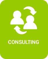 Consulting Services